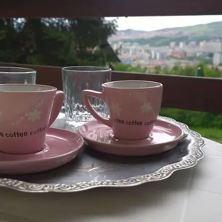 Vraca Sarajevo